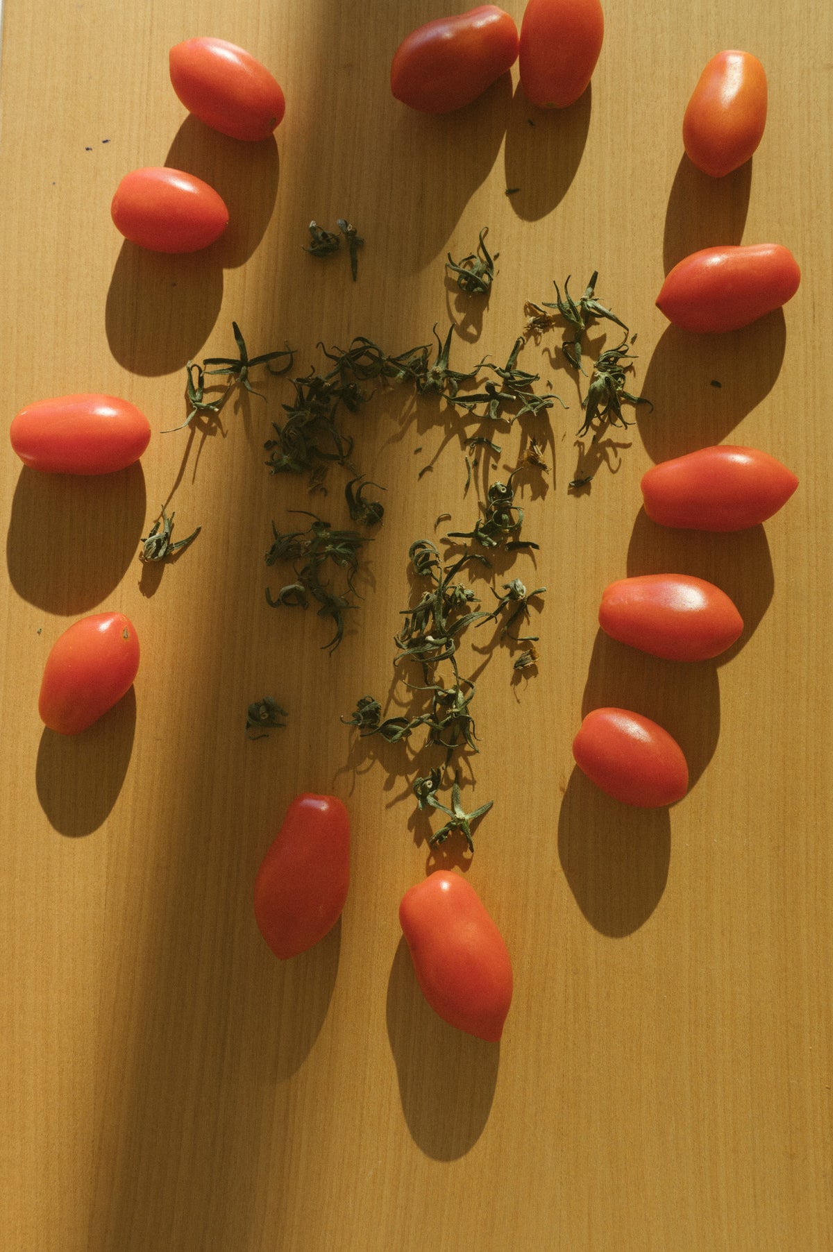 Fresh red cherry tomatoes and dried green herbs arranged on a warm wooden surface with strong sunlight and shadows.